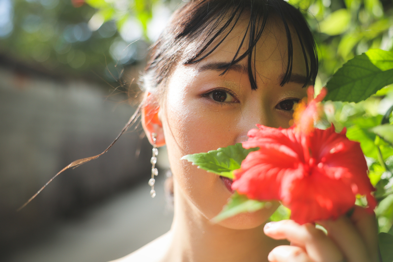 ハイビスカスが!!!