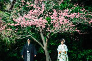 沖縄和装　寒緋桜