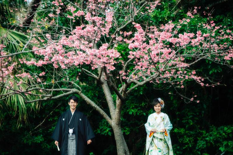沖縄和装　寒緋桜