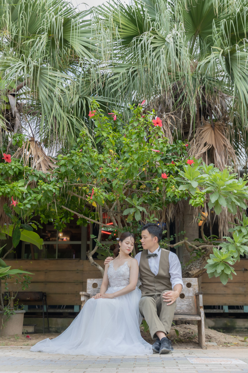 緑とハイビスカスと