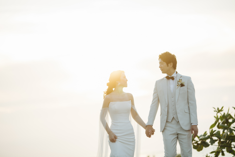 逆光でフワッと