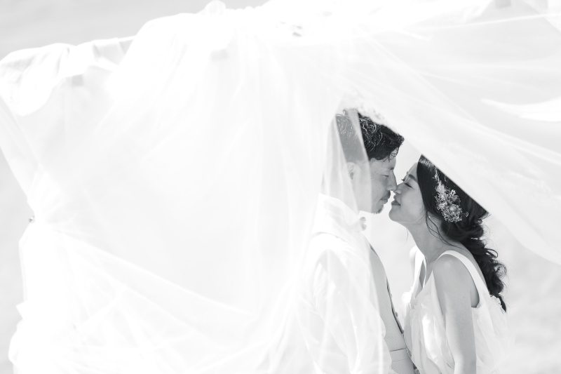 違った雰囲気でも・・・