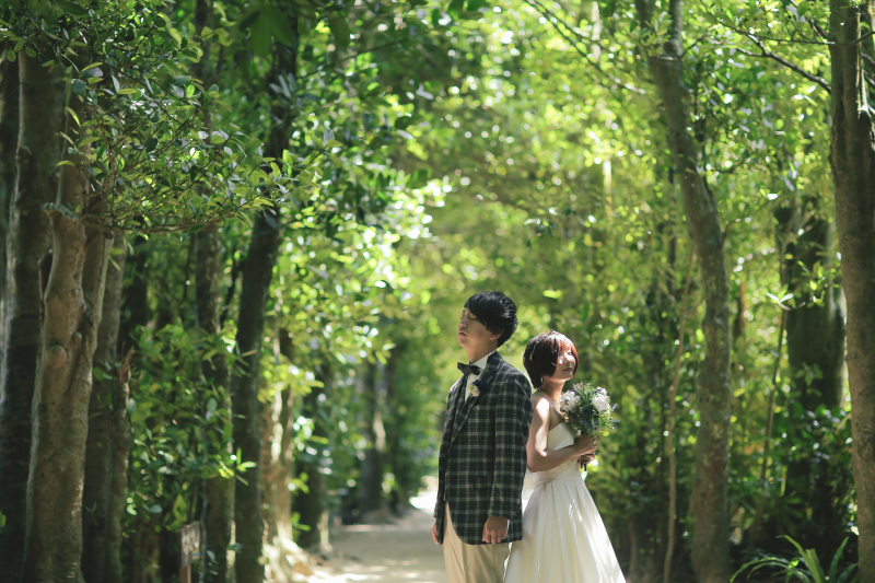 綺麗な木漏れ日の下で