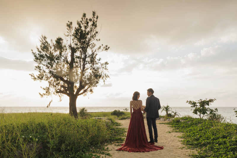 海岸へ向かう道