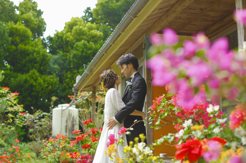 ブーゲンビリアが良い！