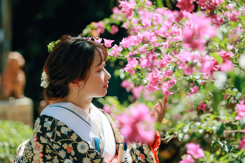午後のブーゲンビレア