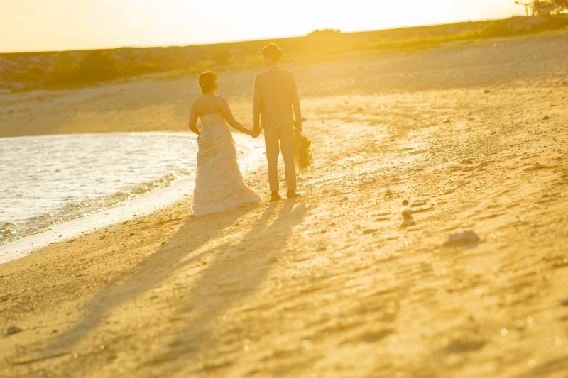 お二人の見つめ合っている後ろ姿も。