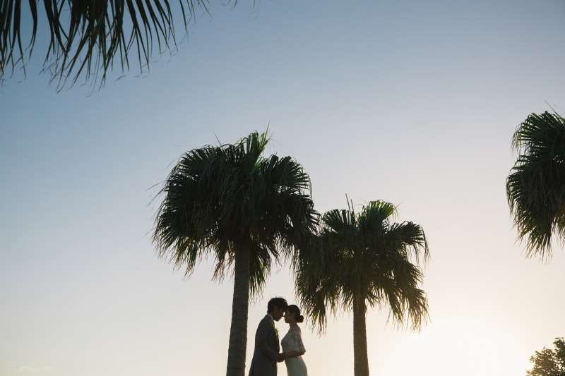 サンセットとヤシの木