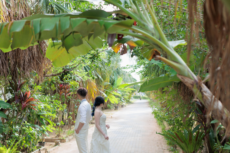 アラハビーチの緑から