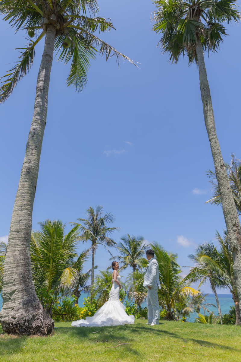 大きいヤシの木と