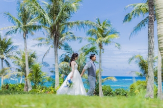 ブルームーンプラン