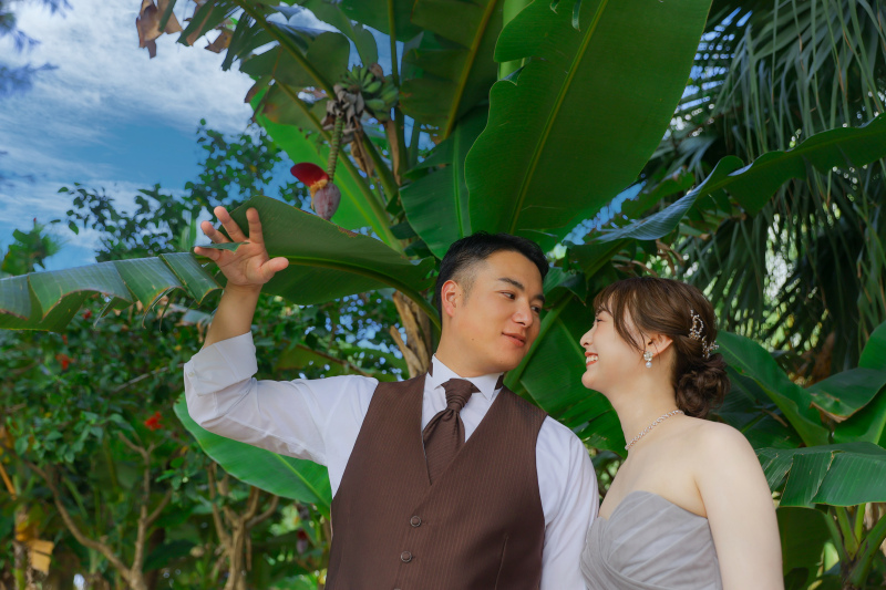 南国の雰囲気で