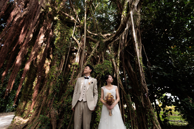 ガジュマルの木の前で