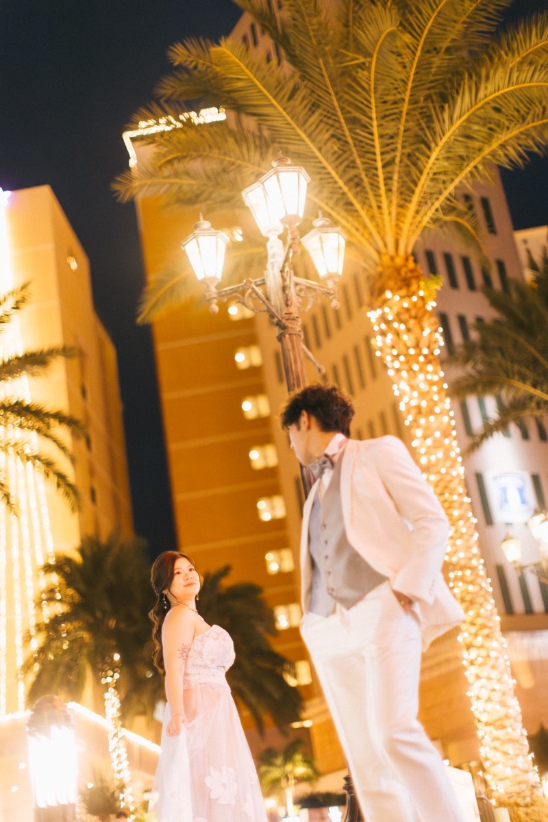 ヤシの木とイルミネーション