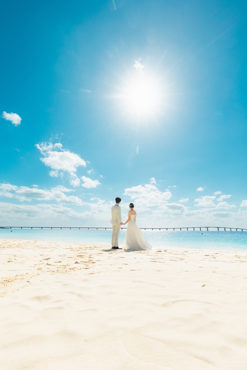 Green,Bridge and Beach
