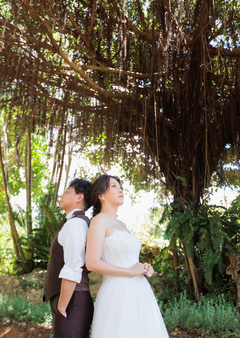 沖縄特有の植物も