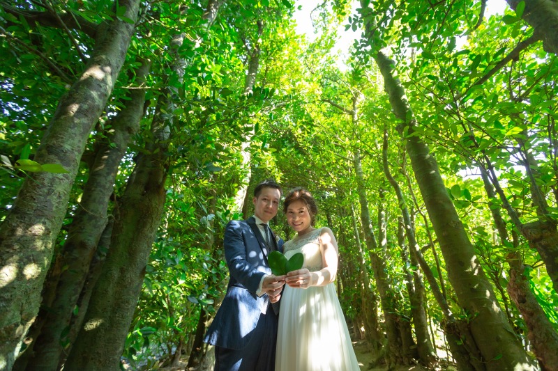 ハートの葉っぱ