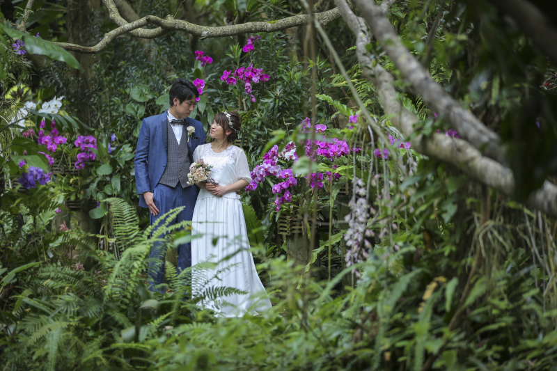 色とりどりの植物に包まれて