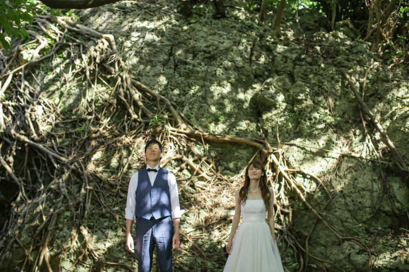 木漏れ日が素敵な場所