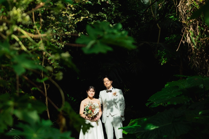 Green,Bridge and Beach