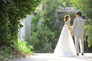 光が射すフクギ並木と逆光の海