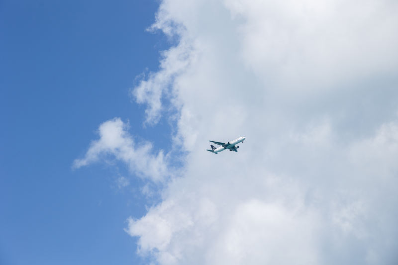 宮古島でビーチも緑も！