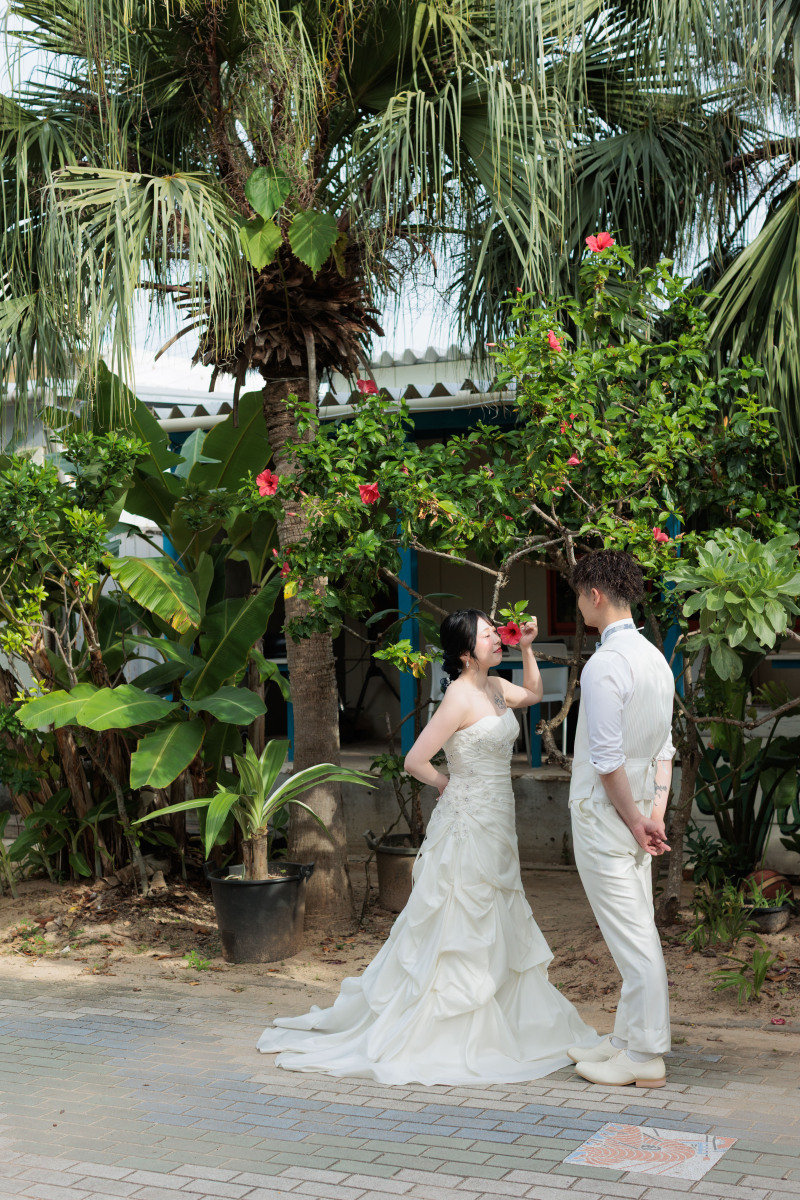 沖縄ならではの植物も