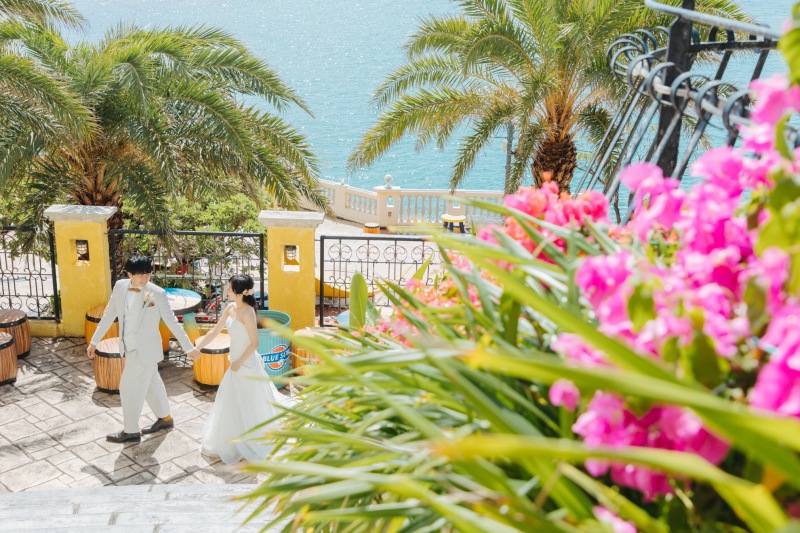 ブーゲンビリア