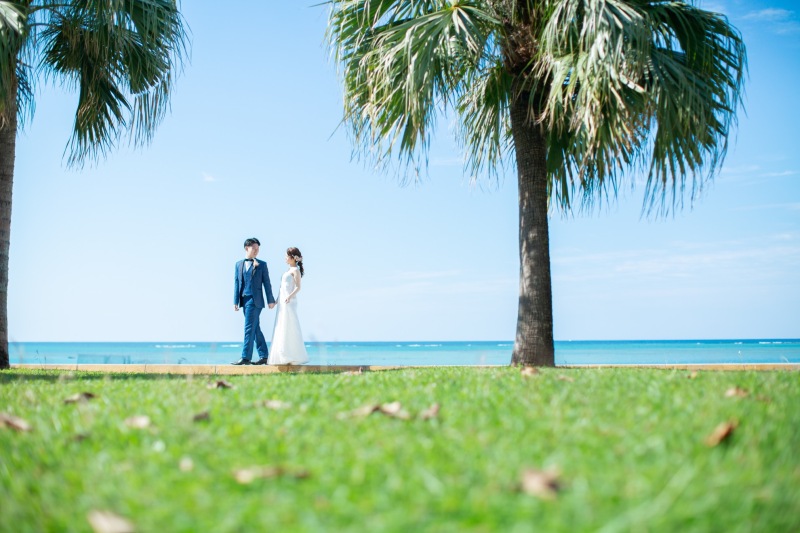 ヤシの木フレーム