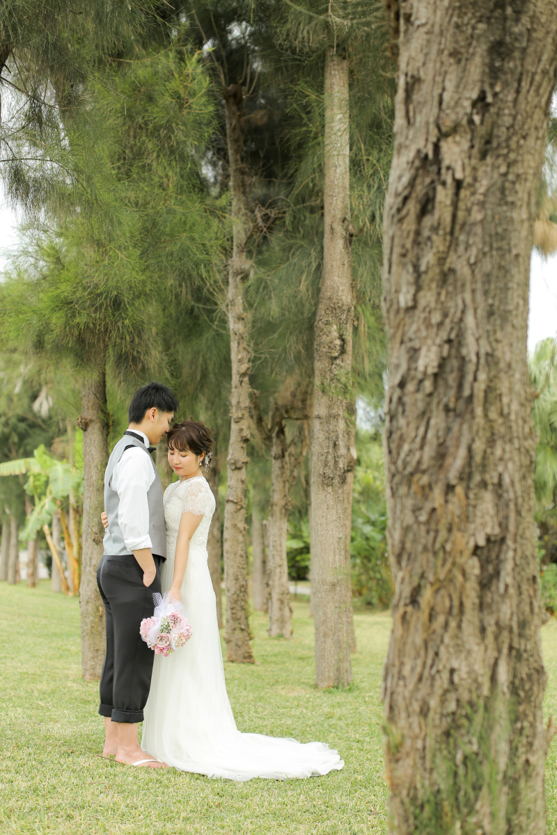 アラハビーチの緑