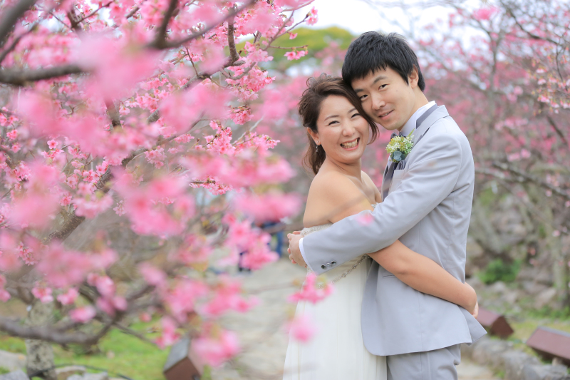 今帰仁城跡-緋寒桜(ヒカンザクラ)-