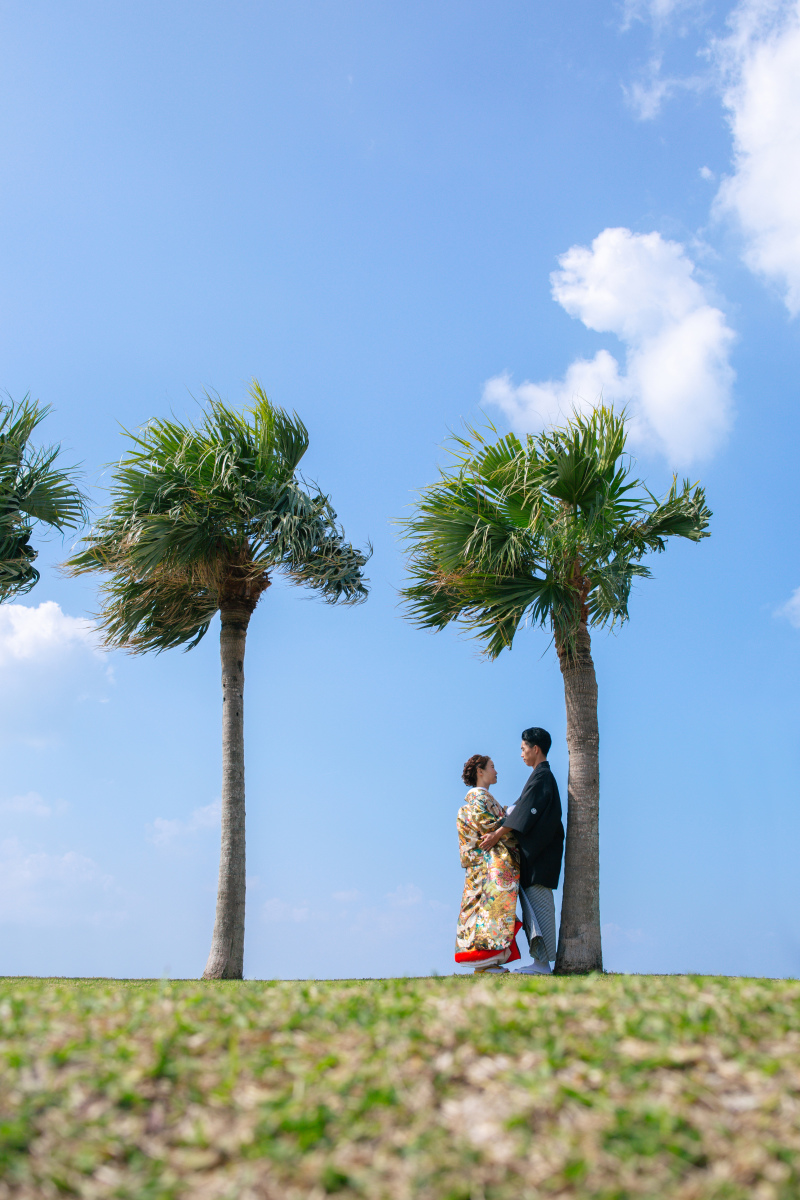 ヤシの木の間に