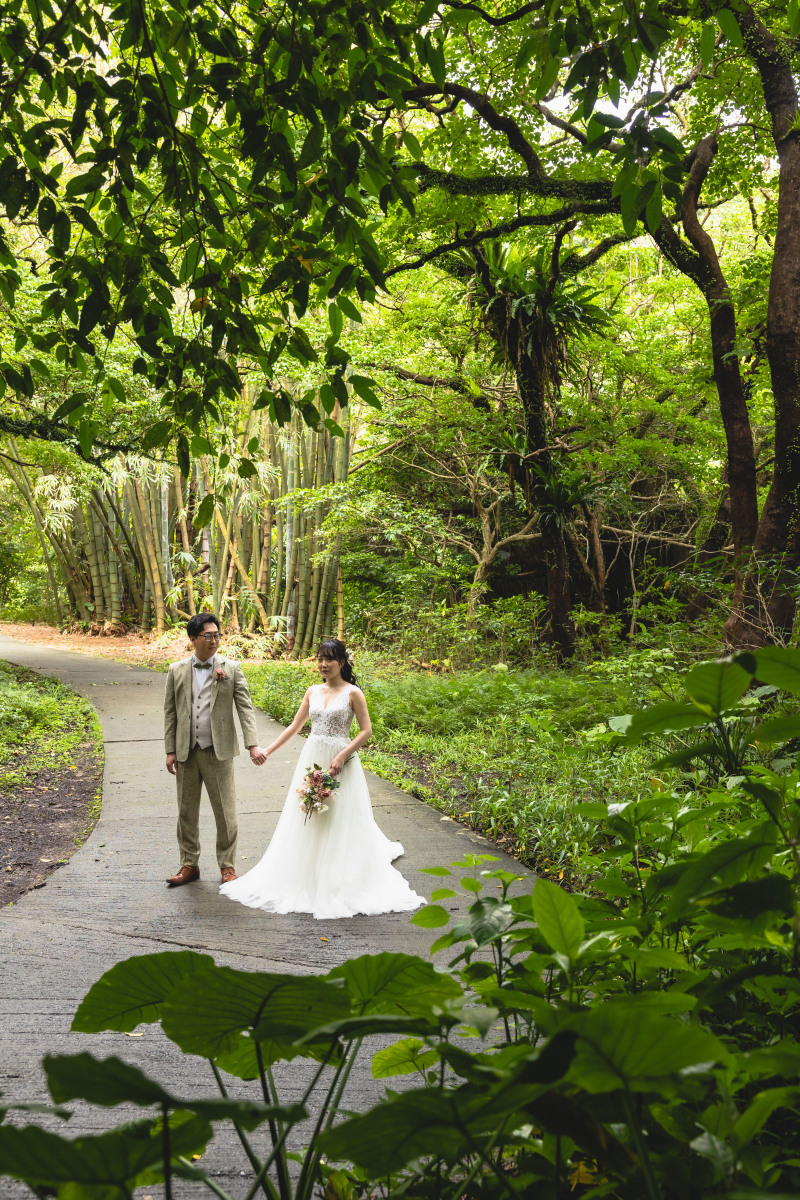 ガンガラーの谷2