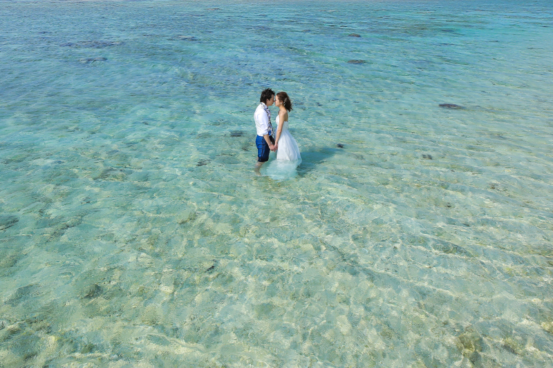 ドレスインザシー