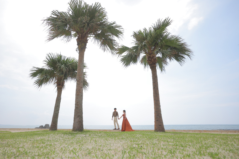 ヤシの木とおふたり