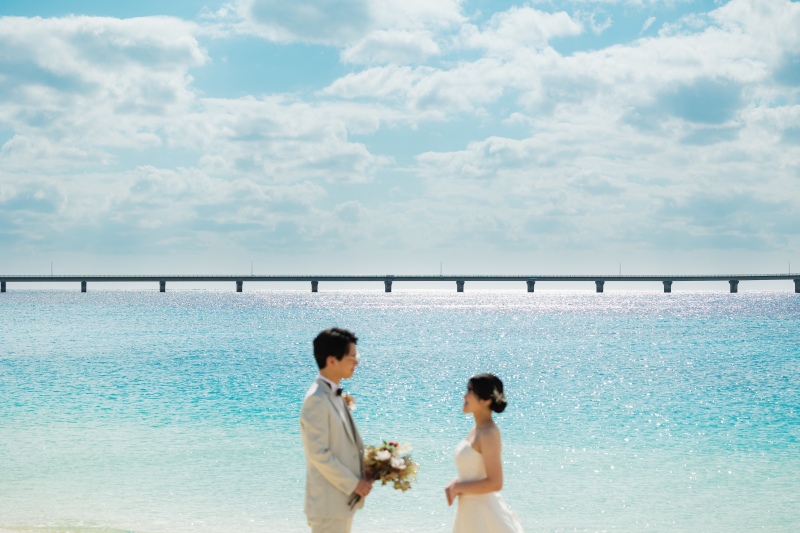 Green,Bridge and Beach