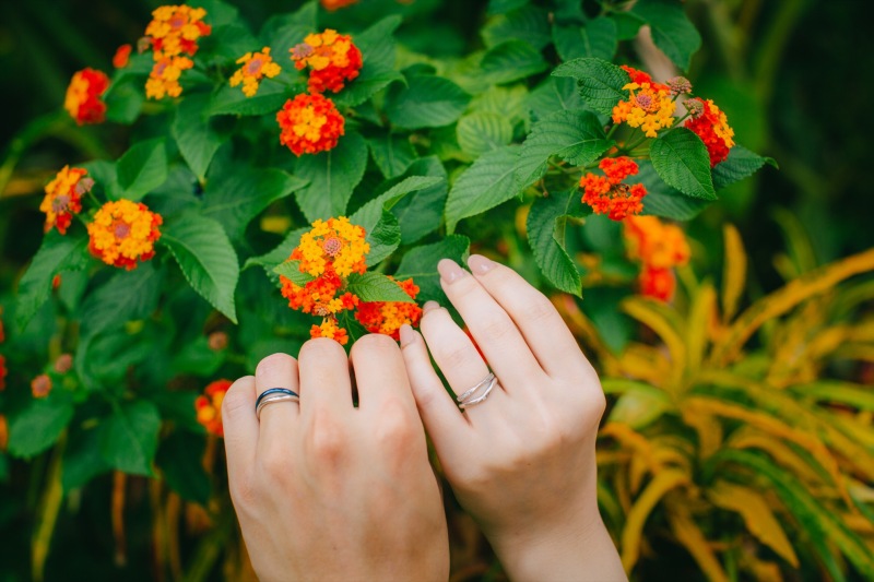 このお花なんだろう??