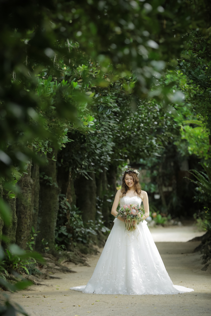 フクギ並木撮影