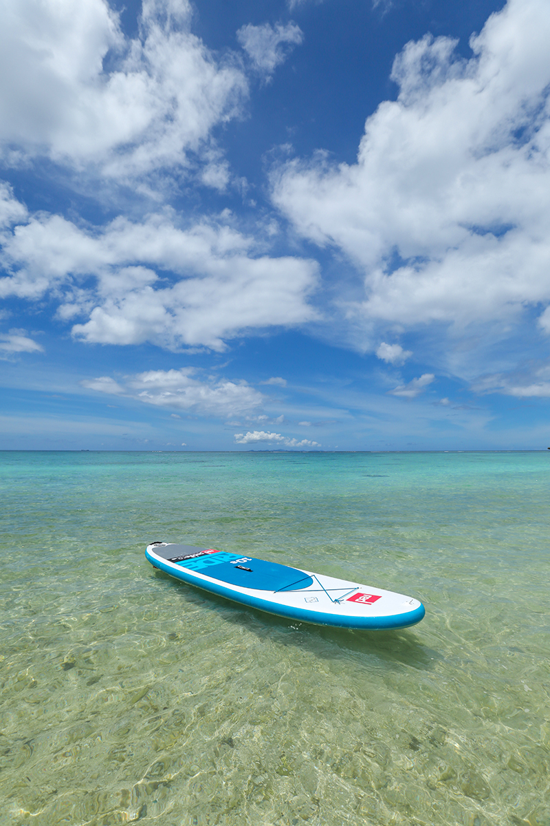 サップオプション