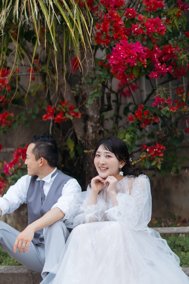 ブーゲンビリア