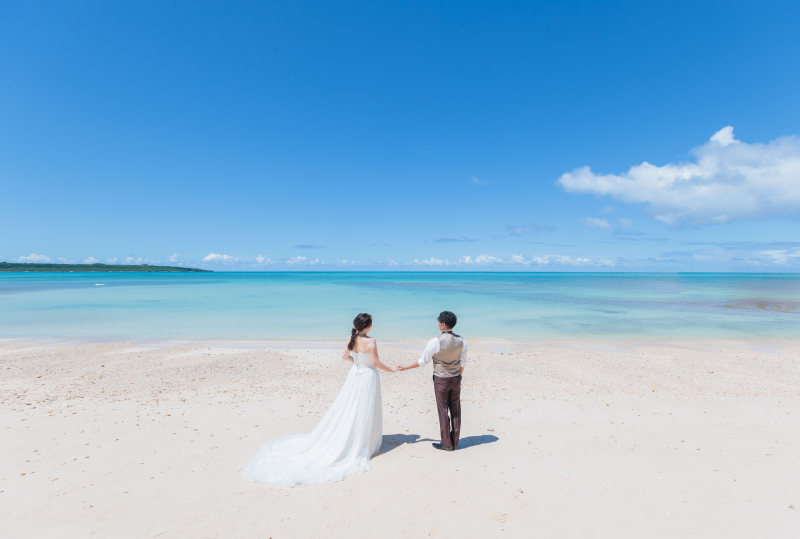 絵のような写真も