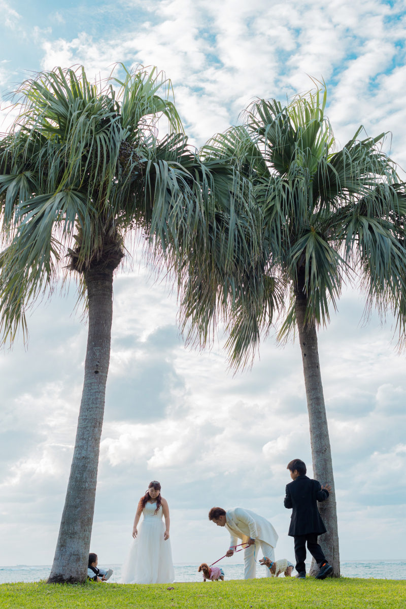 沖縄ならではな”ヤシの木”とも
