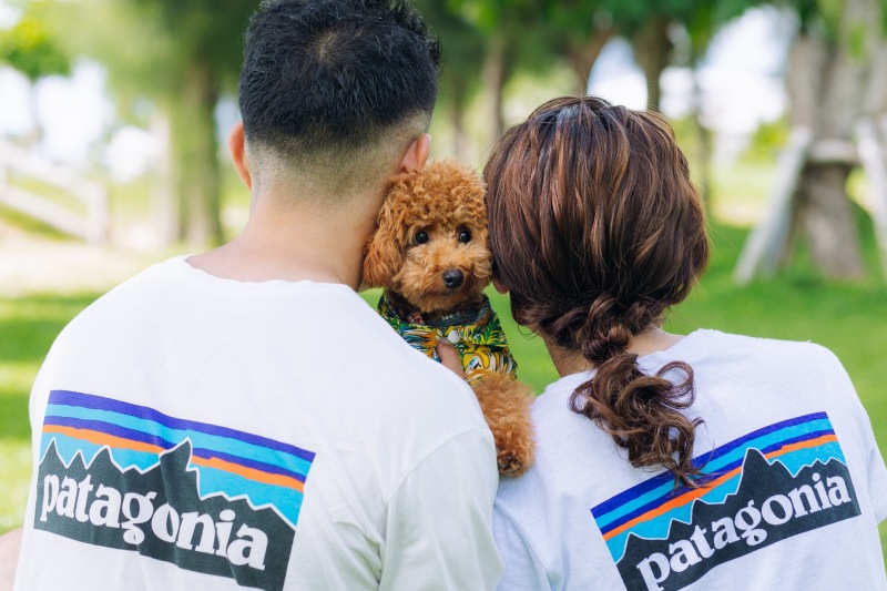 STUDIO SUNS沖縄(スタジオSUNS)_ペットと一緒に撮影できる