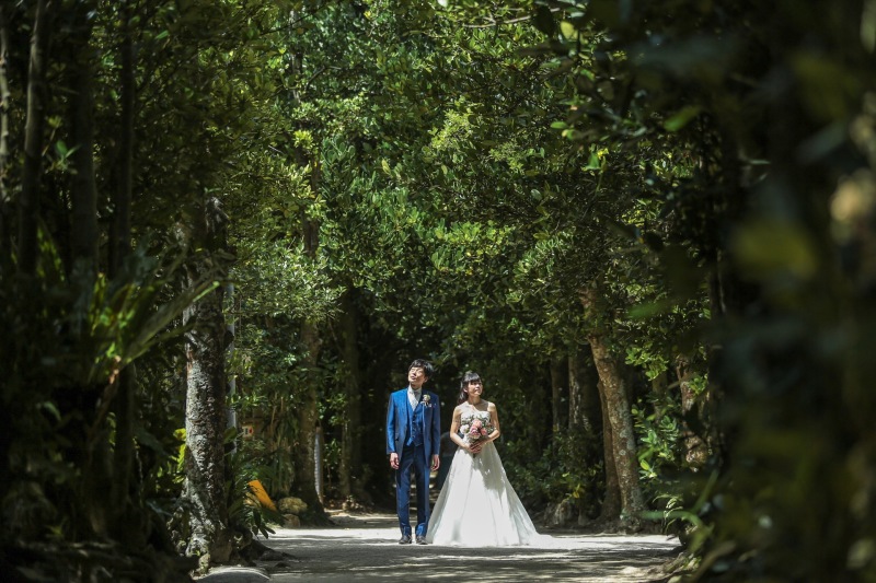 木漏れ日を感じましょう♪