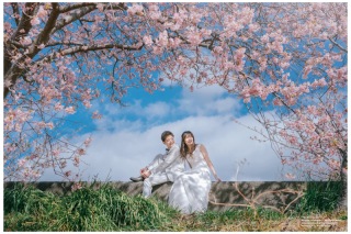 桜満開の中、伊豆での素敵な一枚☆