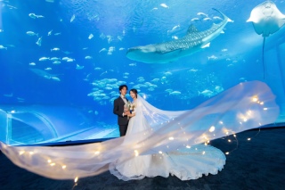 SPECIAL！！　【美ら海水族館で撮れる特別なフォト！】　美ら海水族館＋2ヶ所ロケーションプラン！