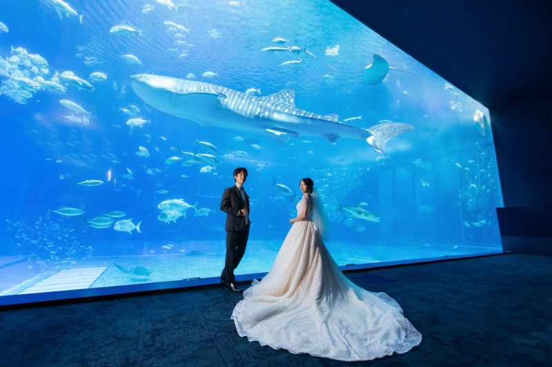 SPECIAL!! 【美ら海水族館で撮れる特別なフォト!】 美ら海水族館+2ヶ所ロケーションプラン!