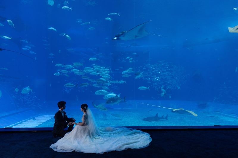 SPECIAL!! 【美ら海水族館で撮れる特別なフォト!】 美ら海水族館+2ヶ所ロケーションプラン!