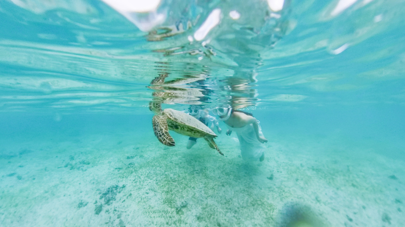 宮古島アクティビティーフォト