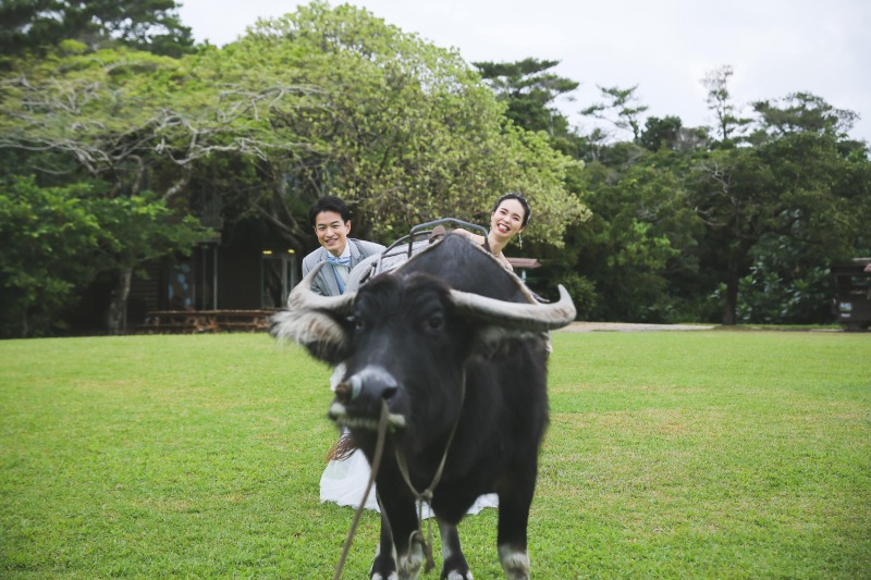 【228,030円】ビオスの丘♢写真データ＆20ページアルバム付き♢衣装・ヘアメイク・アクセサリー・ブーケ・靴も含む